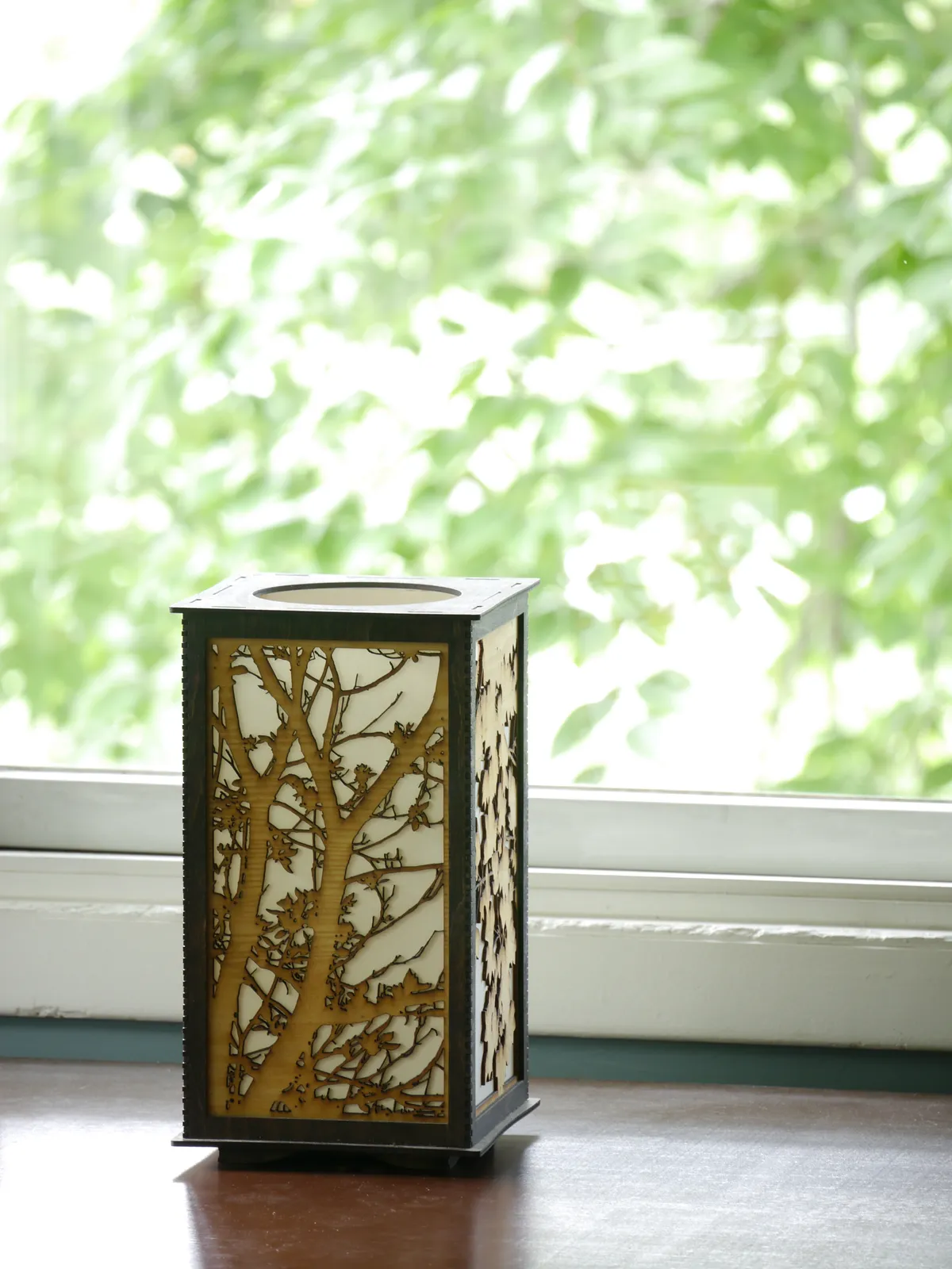 Spring (natural light)